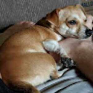 Meet your Posher, Scrap